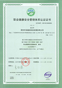 職業健康管理中文